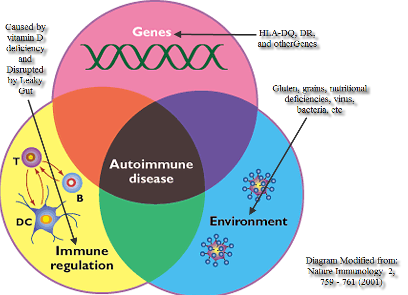 Autoimmune disease diagram1 111121